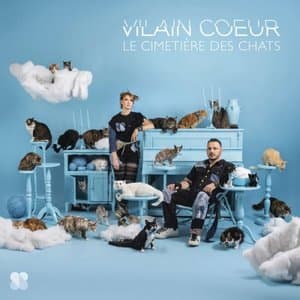 Le cimetiere des chats