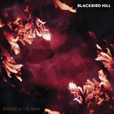 Embers In The Dark