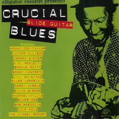 Crucial Slide Guitar Blues