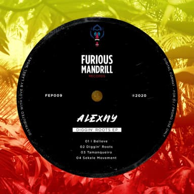 Diggin Roots EP