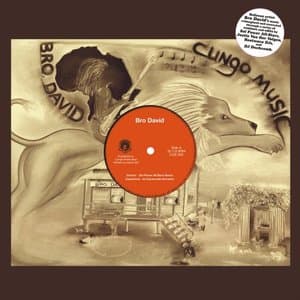 Bro David (Remixes)