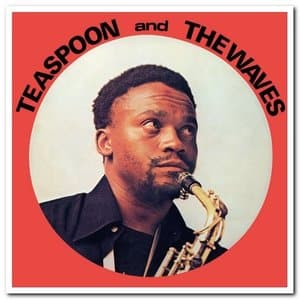 Teaspoon & The Waves