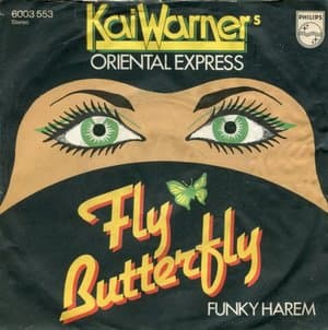 Fly Butterfly