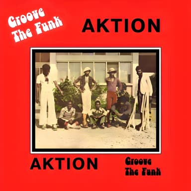 Groove The Funk