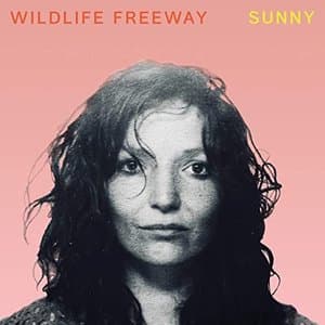 Sunny
