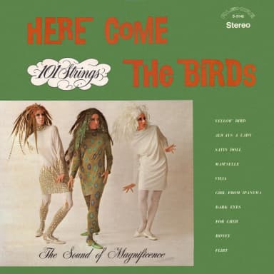 Here Come the Birds