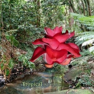 Tropical 82