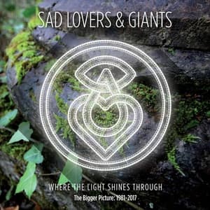 Where the Light Shines Through: The Bigger Picture 1981-2017 (Vol. 3)
