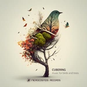 Music For Birds & Trees