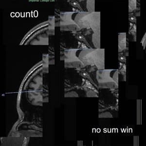 No Sum Win