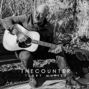 The Counter