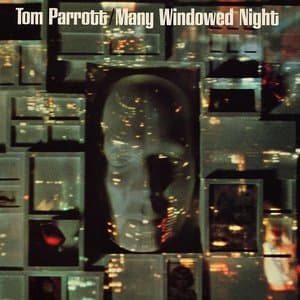 Many Windowed Night