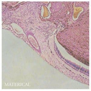 Materical