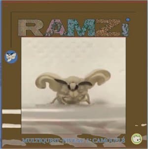 Multiquest Niveau 1: Camoufle