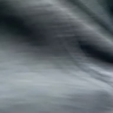 With the Wind