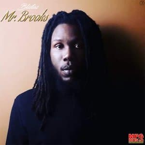 Mr Brooks