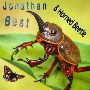 Horned Beetle
