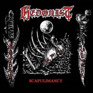 Scapulimancy