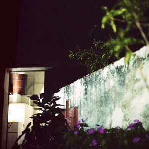 House of the Singing Blossoms