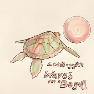 Waves for a Begull