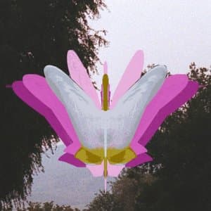 Spring Ephemeral