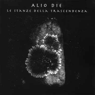 Le Stanze Della Trascendenza