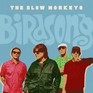 Birdsong