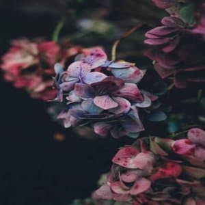 Time synthesis