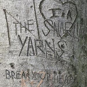 Break Your Heart