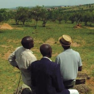 Obuhangwa bwa Banyankore na Bahororo