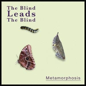 Metamorphosis