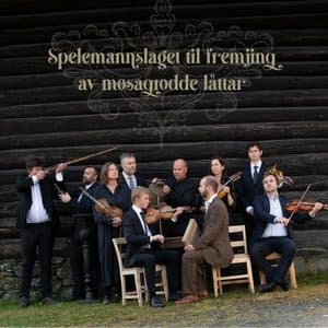Spelemannslaget til fremjing av mosagrodde lattar