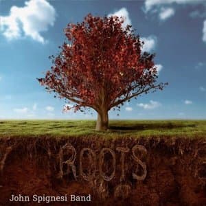 Roots
