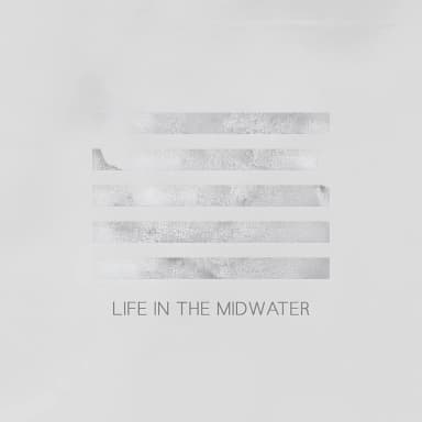 Life in the Midwater
