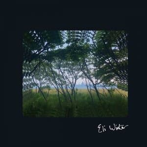 Eli Winter