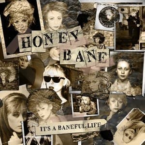 It's A Baneful Life (The Anthology 1978-2015)