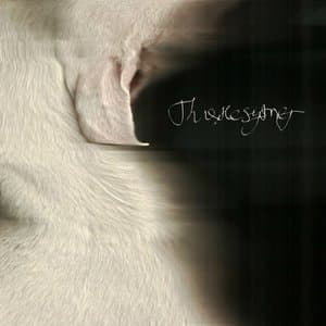 Thistlesifting
