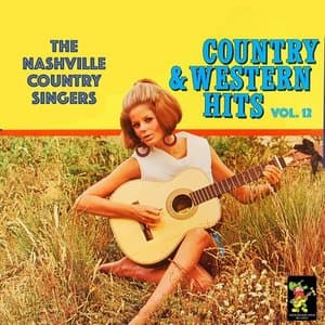 Country and Western Hits, Vol. XII