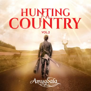 Hunting for Country Vol. 2