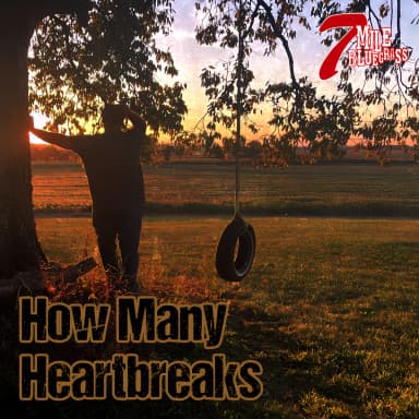 How Many Heartbreaks