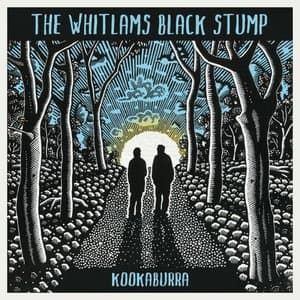 Kookaburra