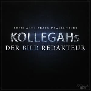 Der Bild Redakteur
