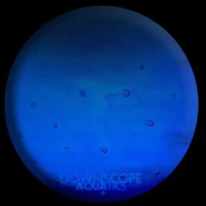 Aquatics +