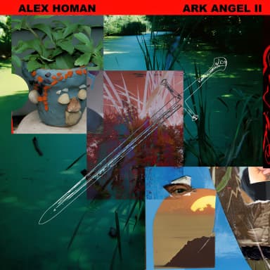 Ark Angel II