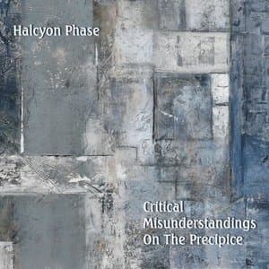 Critical Misunderstands On The Precipice