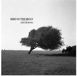 The Crowing