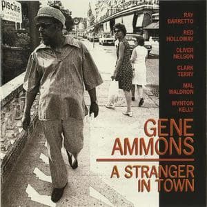 A Stranger In Town