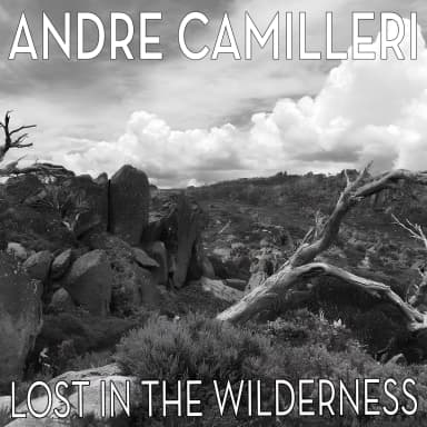 Lost in the Wilderness