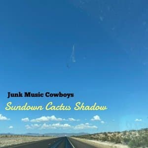 Sundown Cactus Shadow