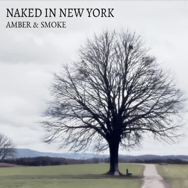 Naked in New York